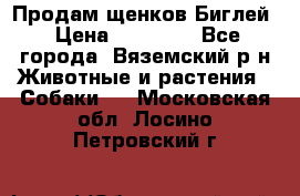 Продам щенков Биглей › Цена ­ 15 000 - Все города, Вяземский р-н Животные и растения » Собаки   . Московская обл.,Лосино-Петровский г.